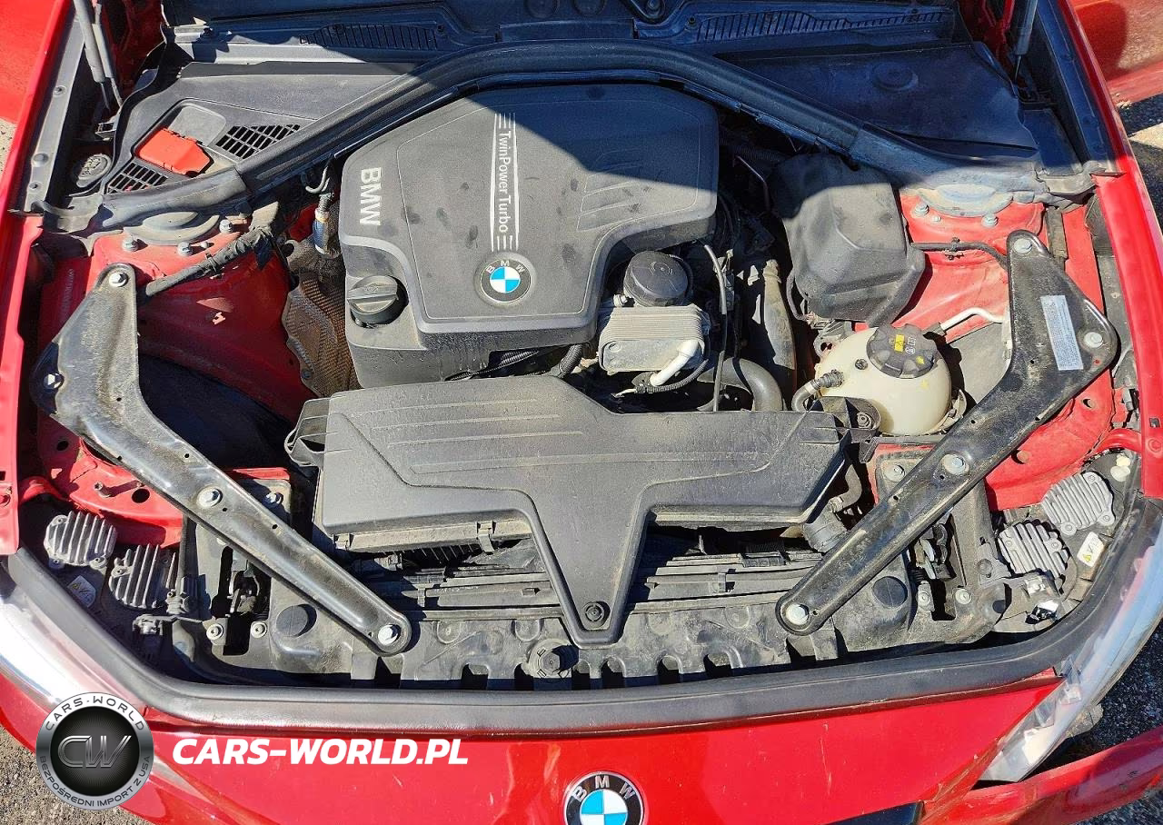 2016 BMW 228 Xi Sulev VIN:WBA1L9C52GV325623 - 11