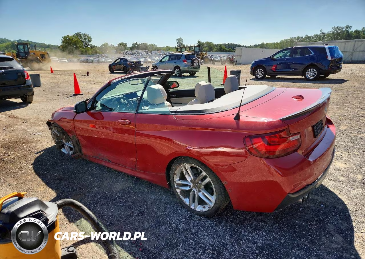 2016 BMW 228 Xi Sulev VIN:WBA1L9C52GV325623 - 2
