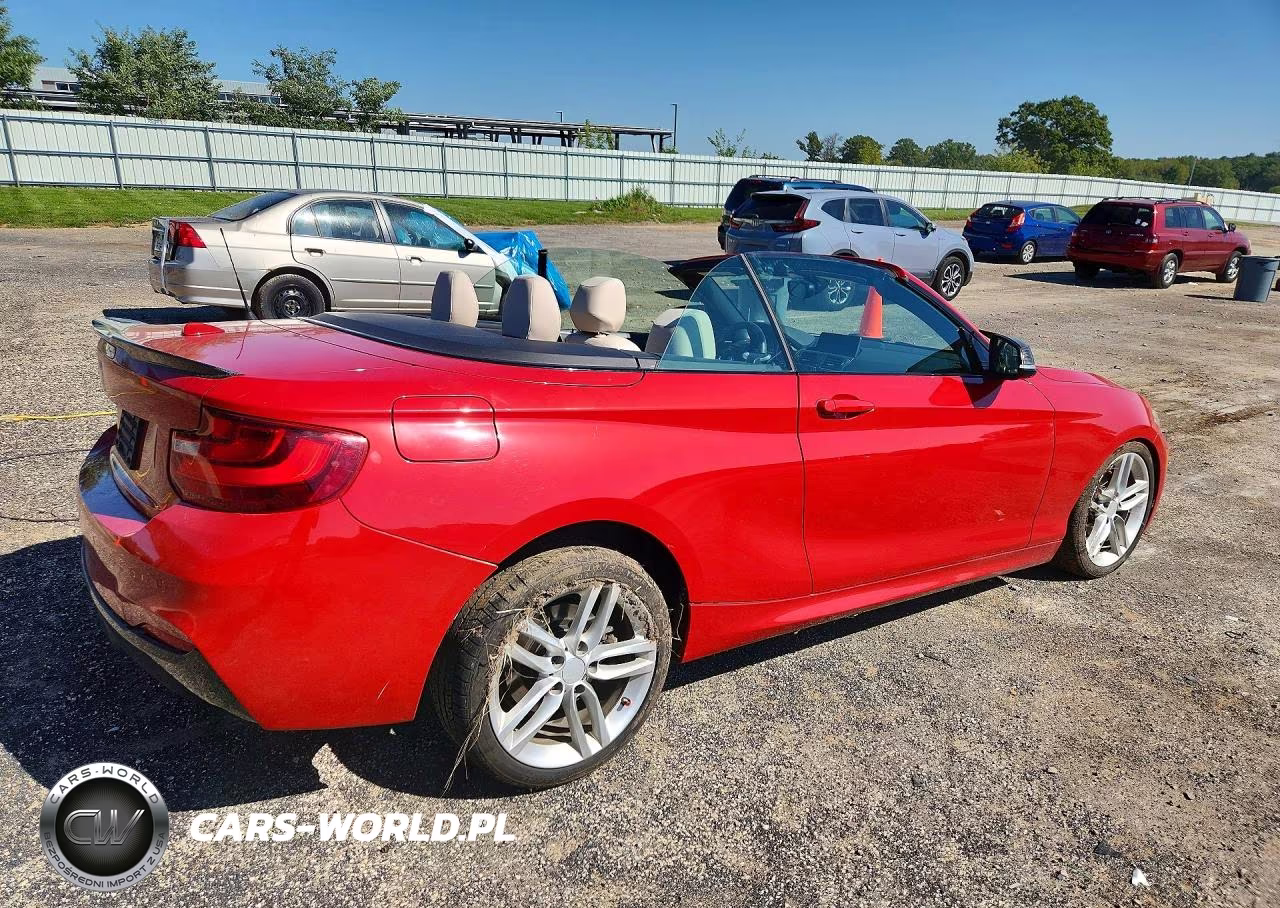2016 BMW 228 Xi Sulev VIN:WBA1L9C52GV325623 - 3