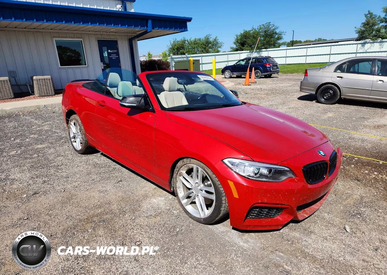 2016 BMW 228 Xi Sulev VIN:WBA1L9C52GV325623 - 4