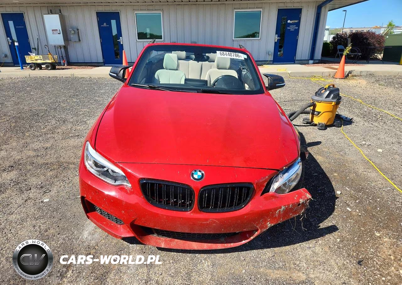 2016 BMW 228 Xi Sulev VIN:WBA1L9C52GV325623 - 5
