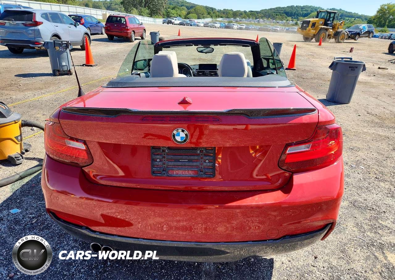 2016 BMW 228 Xi Sulev VIN:WBA1L9C52GV325623 - 6