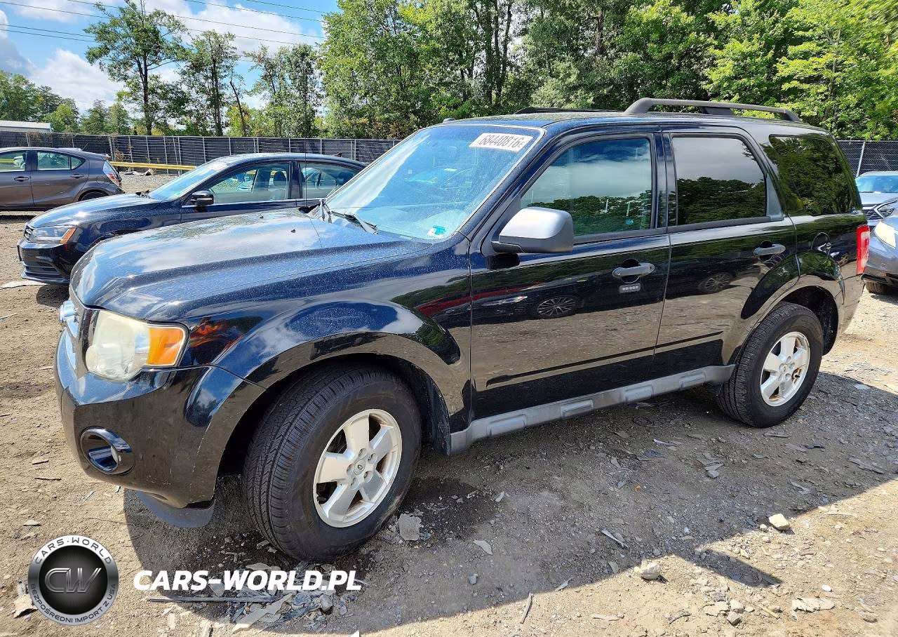 2011 Ford Escape Xlt