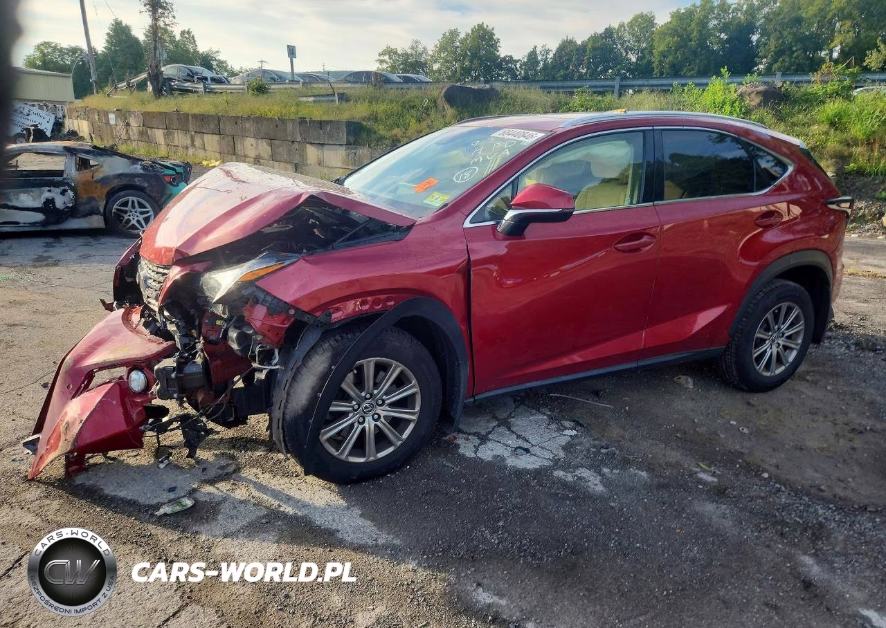 2019 Lexus Nx 300 Base VIN:JTJBARBZ3K2192220 - 1