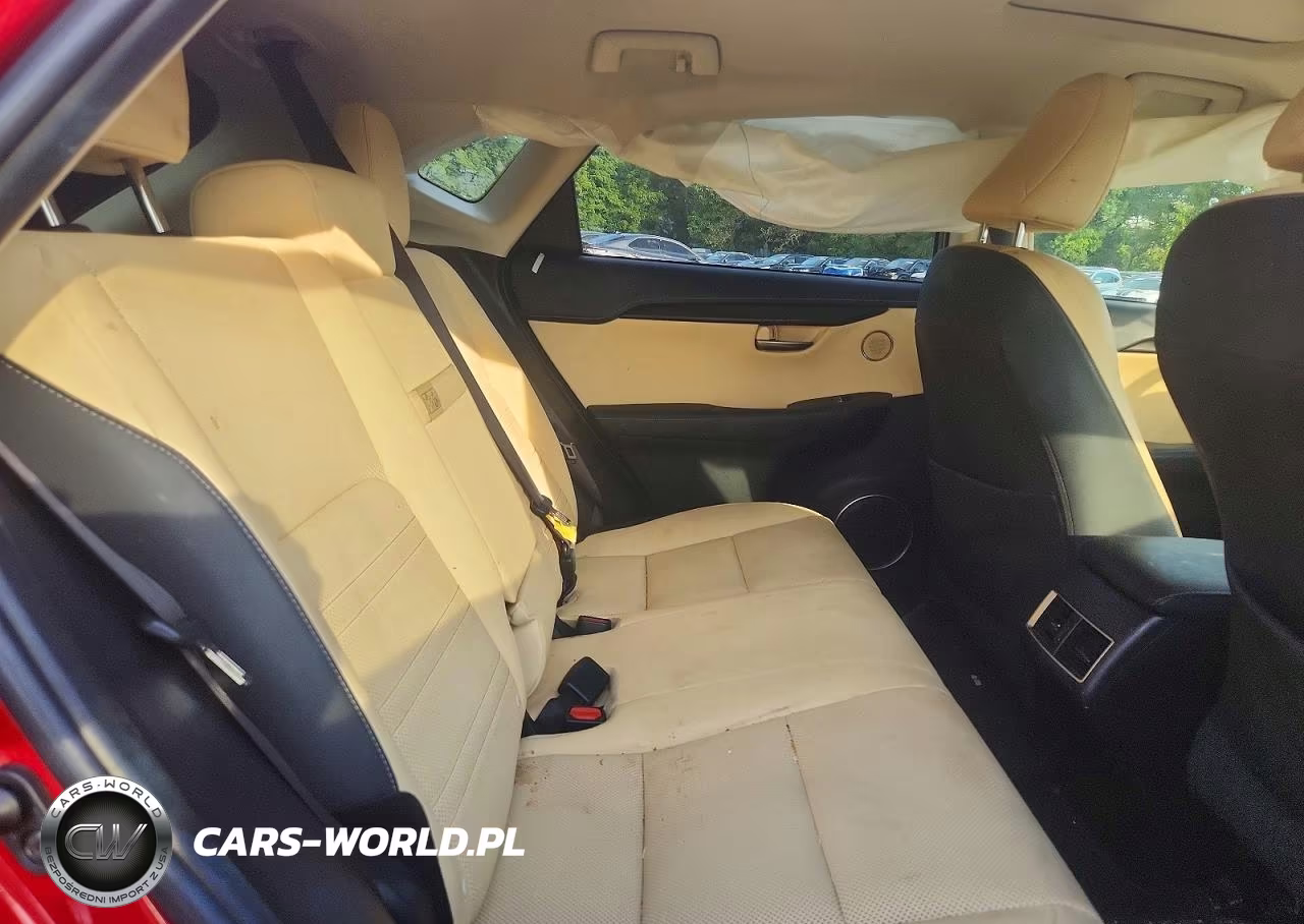 2019 Lexus Nx 300 Base VIN:JTJBARBZ3K2192220 - 11