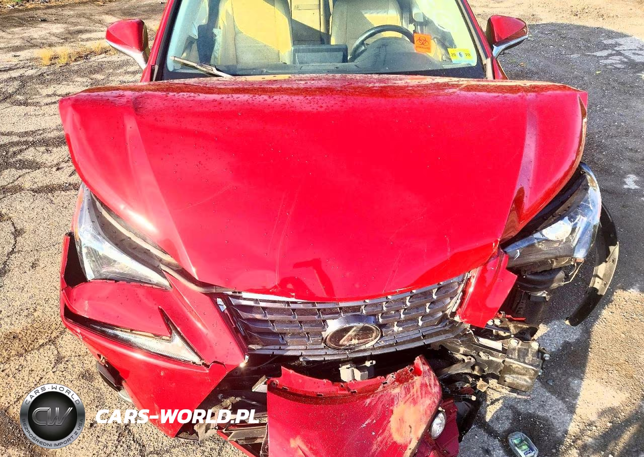2019 Lexus Nx 300 Base VIN:JTJBARBZ3K2192220 - 12