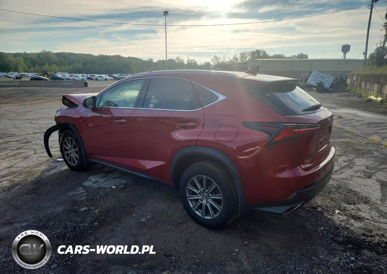 2019 Lexus Nx 300 Base VIN:JTJBARBZ3K2192220 - 2