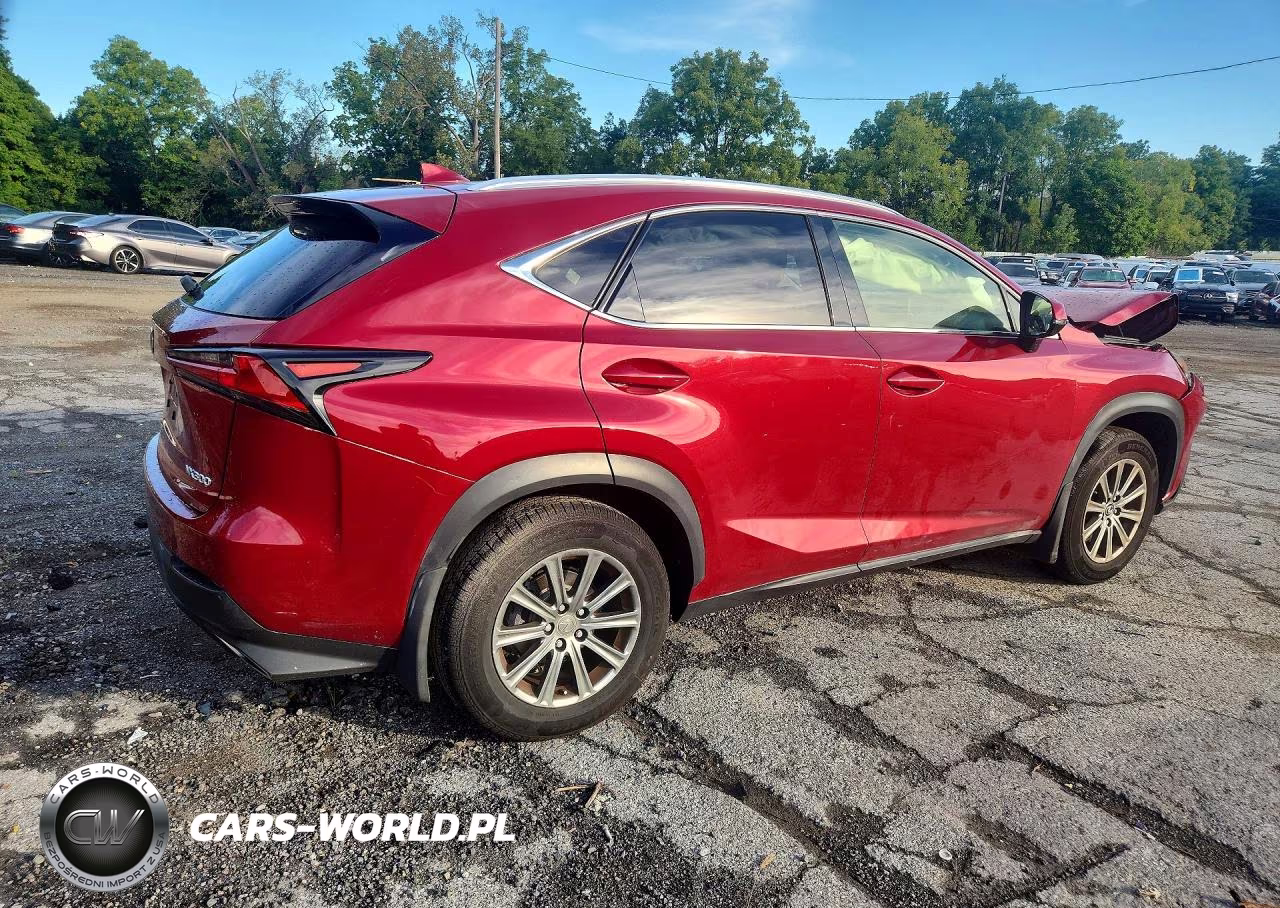 2019 Lexus Nx 300 Base VIN:JTJBARBZ3K2192220 - 3
