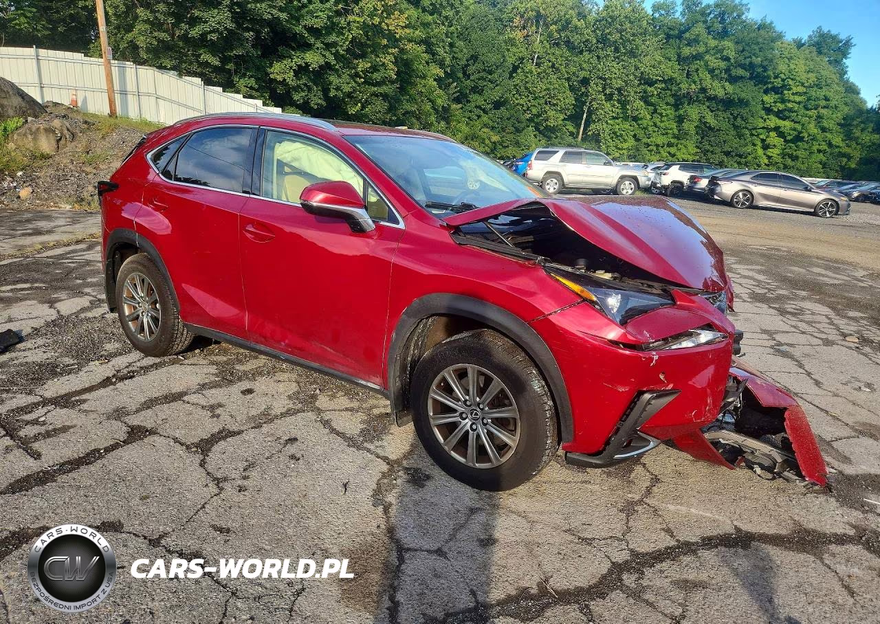 2019 Lexus Nx 300 Base VIN:JTJBARBZ3K2192220 - 4