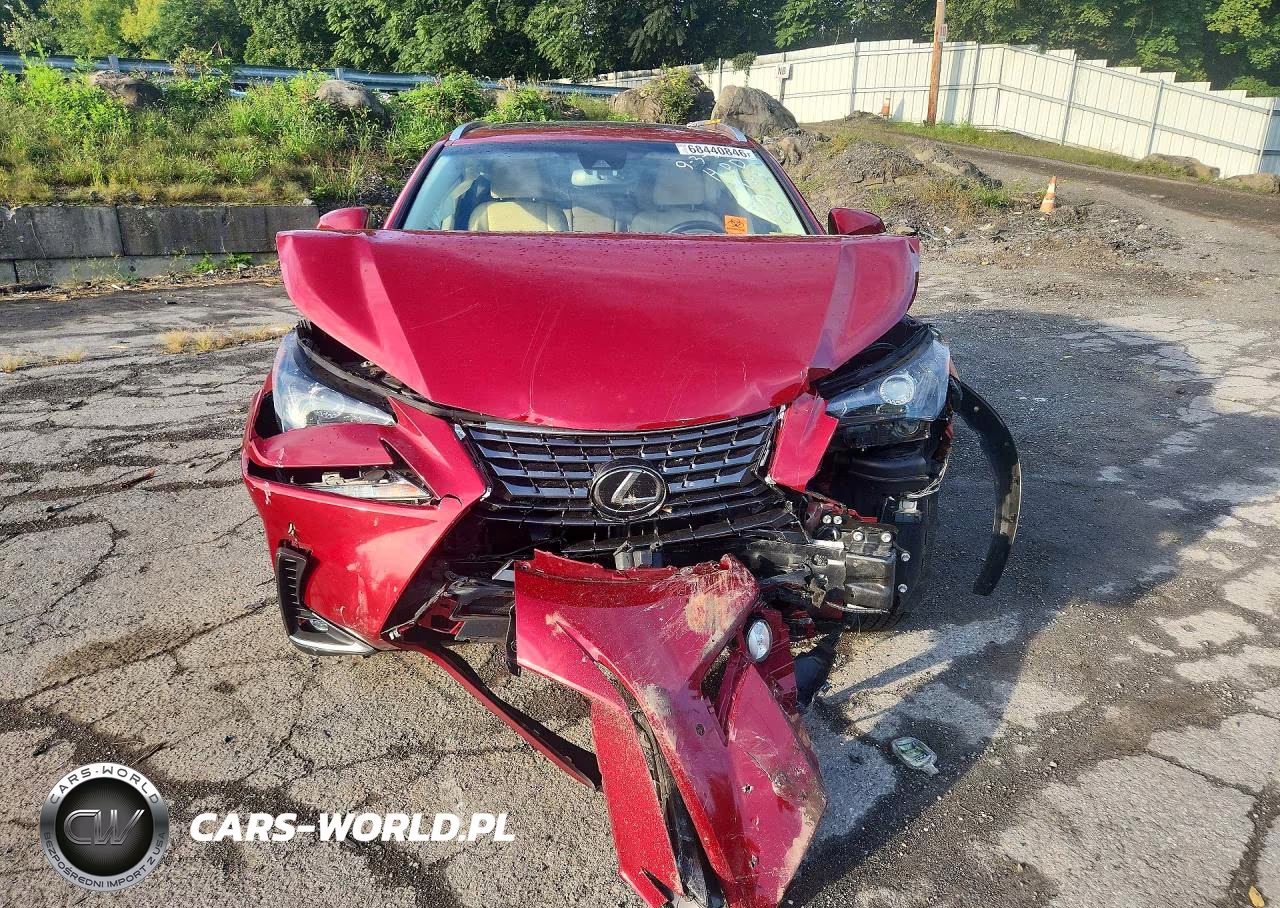2019 Lexus Nx 300 Base VIN:JTJBARBZ3K2192220 - 5