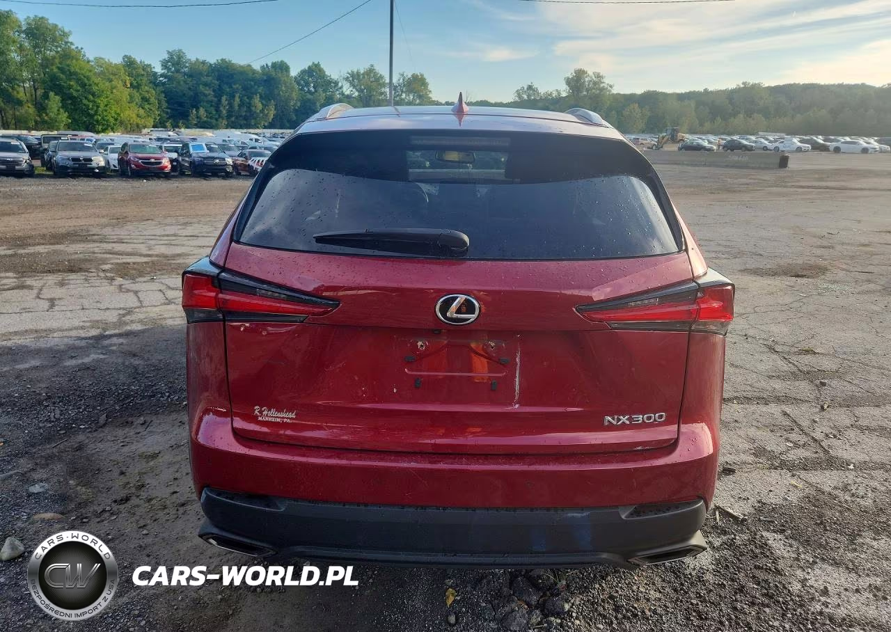 2019 Lexus Nx 300 Base VIN:JTJBARBZ3K2192220 - 6