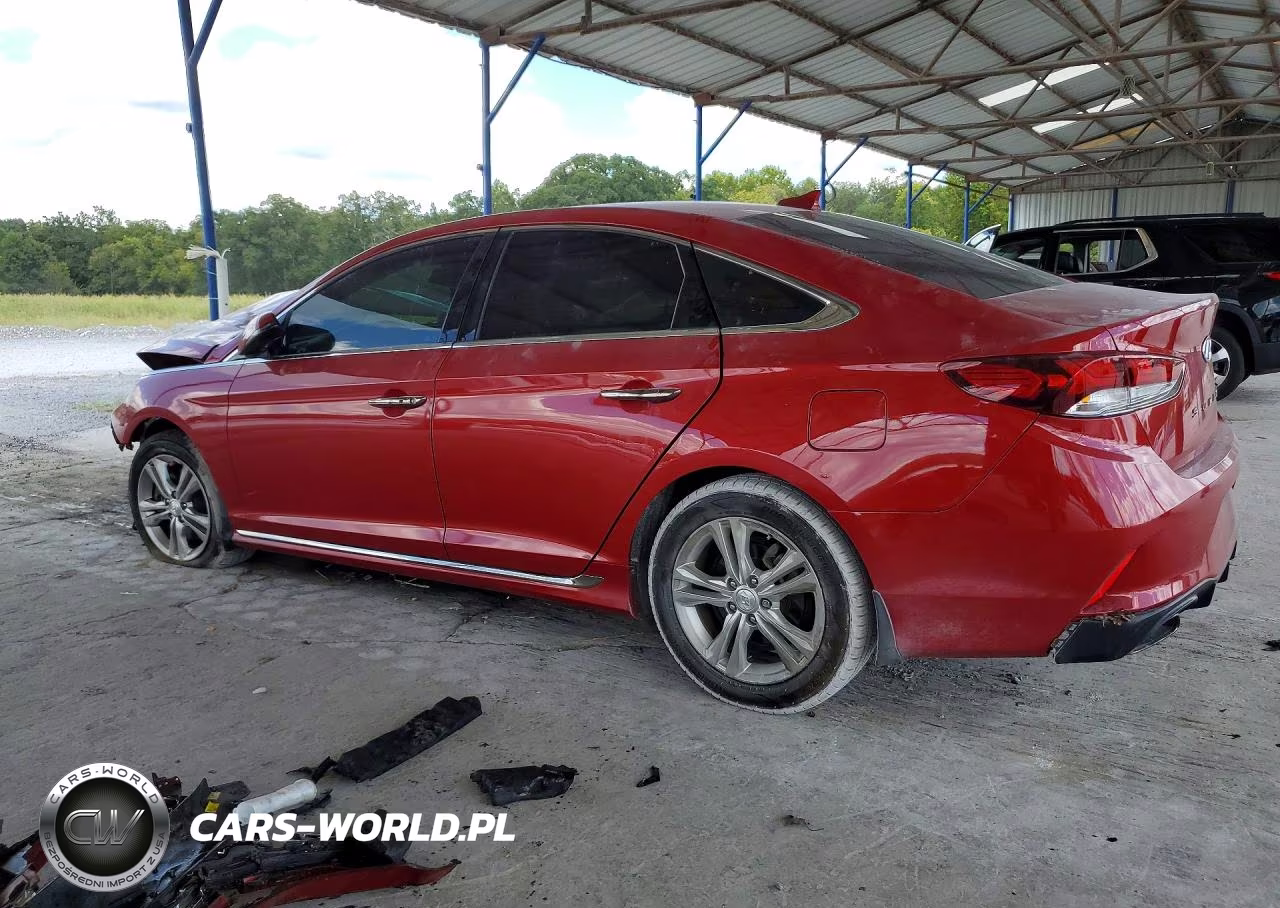 2019 Hyundai Sonata Sport VIN:5NPE34AF2KH821517 - 2