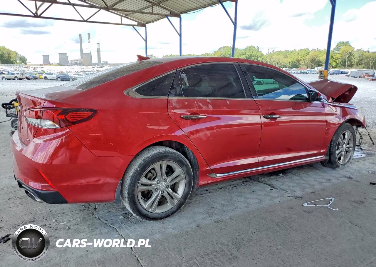 2019 Hyundai Sonata Sport VIN:5NPE34AF2KH821517 - 3