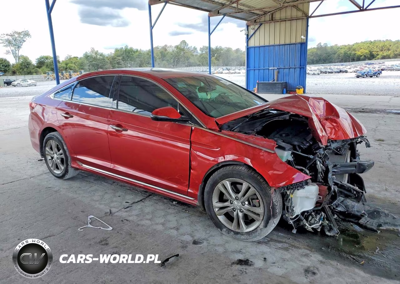 2019 Hyundai Sonata Sport VIN:5NPE34AF2KH821517 - 4