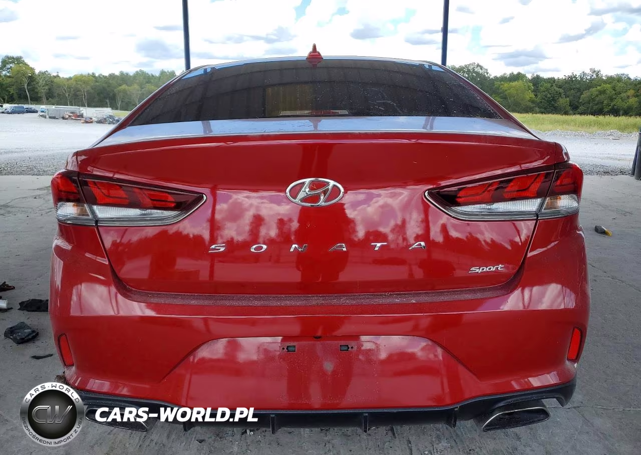 2019 Hyundai Sonata Sport VIN:5NPE34AF2KH821517 - 6