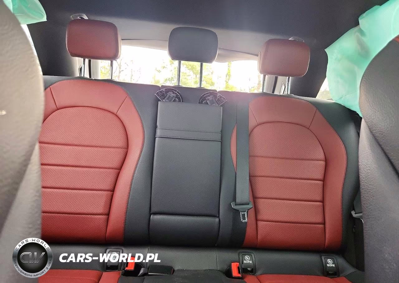 2021 Mercedes-Benz Glc 300 VIN:W1N0G8DB1MF905459 - 10