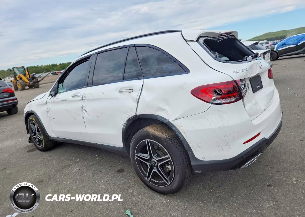 2021 Mercedes-Benz Glc 300 VIN:W1N0G8DB1MF905459 - 2