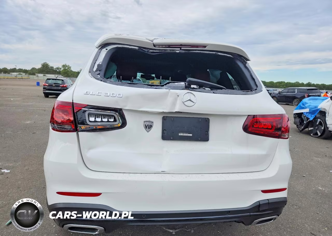 2021 Mercedes-Benz Glc 300 VIN:W1N0G8DB1MF905459 - 6