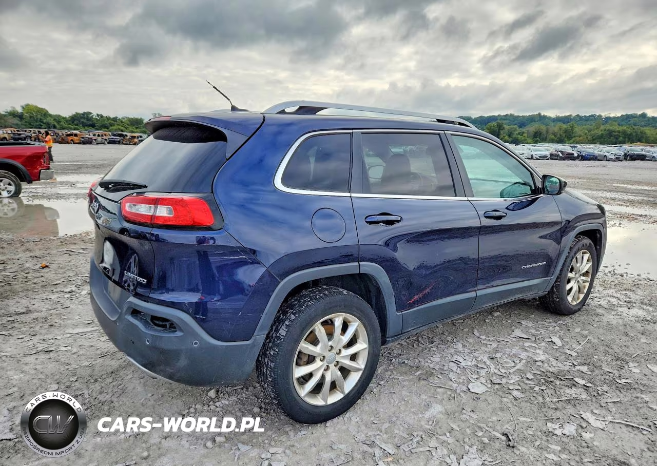2014 Jeep Cherokee Limited VIN:1C4PJMDS4EW150308 - 3