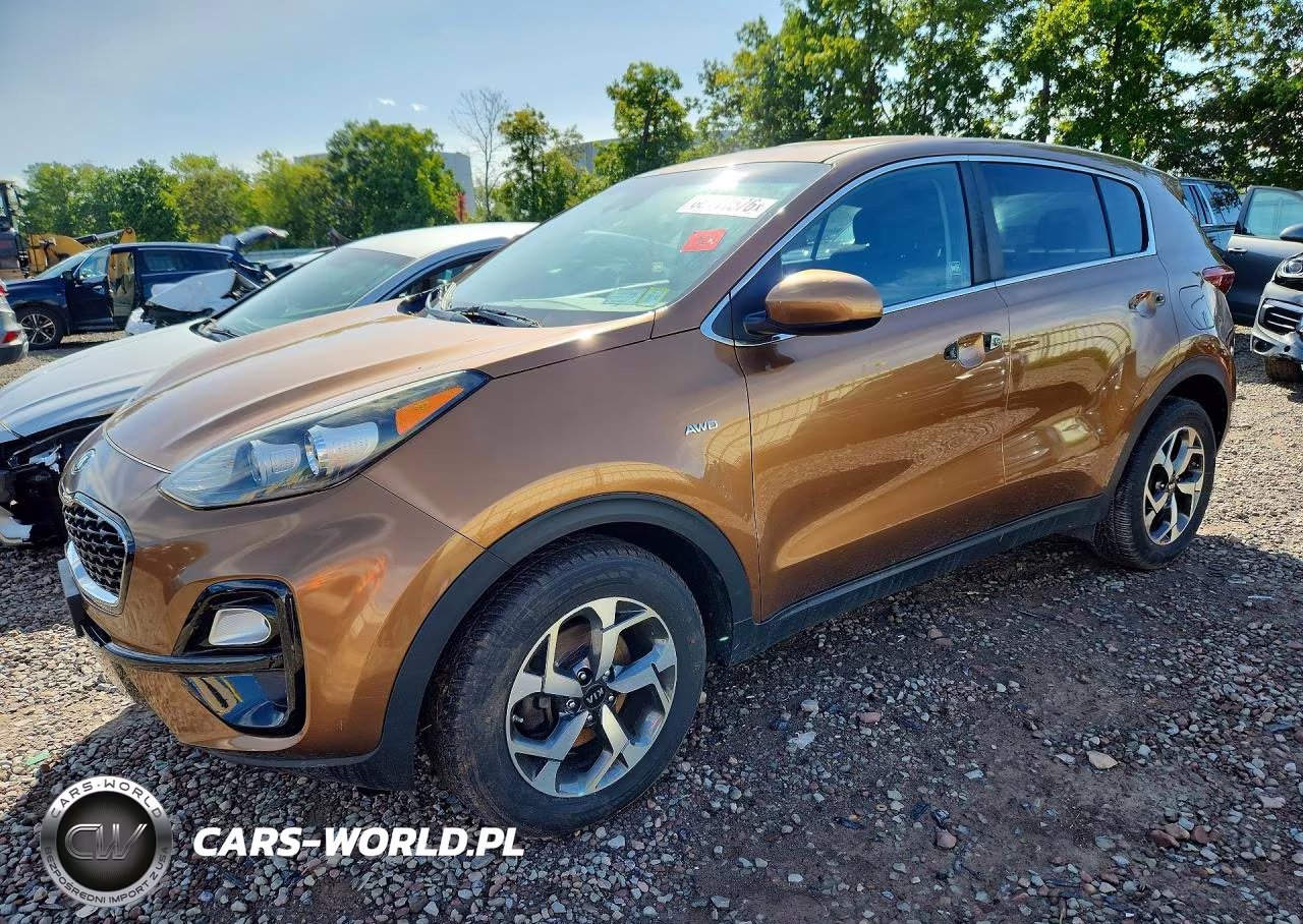 2020 Kia Sportage Lx VIN:KNDPMCAC1L7674313 - 1