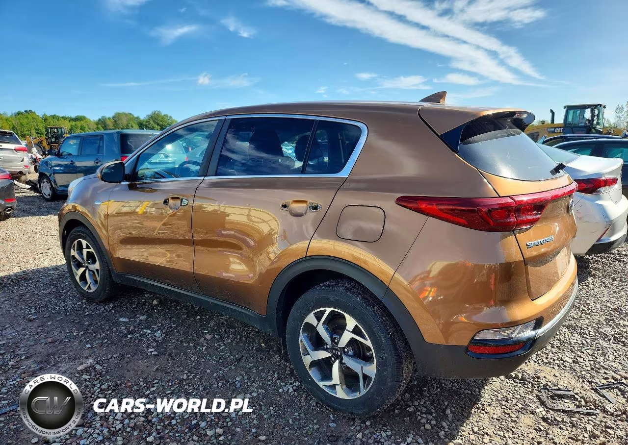 2020 Kia Sportage Lx VIN:KNDPMCAC1L7674313 - 2