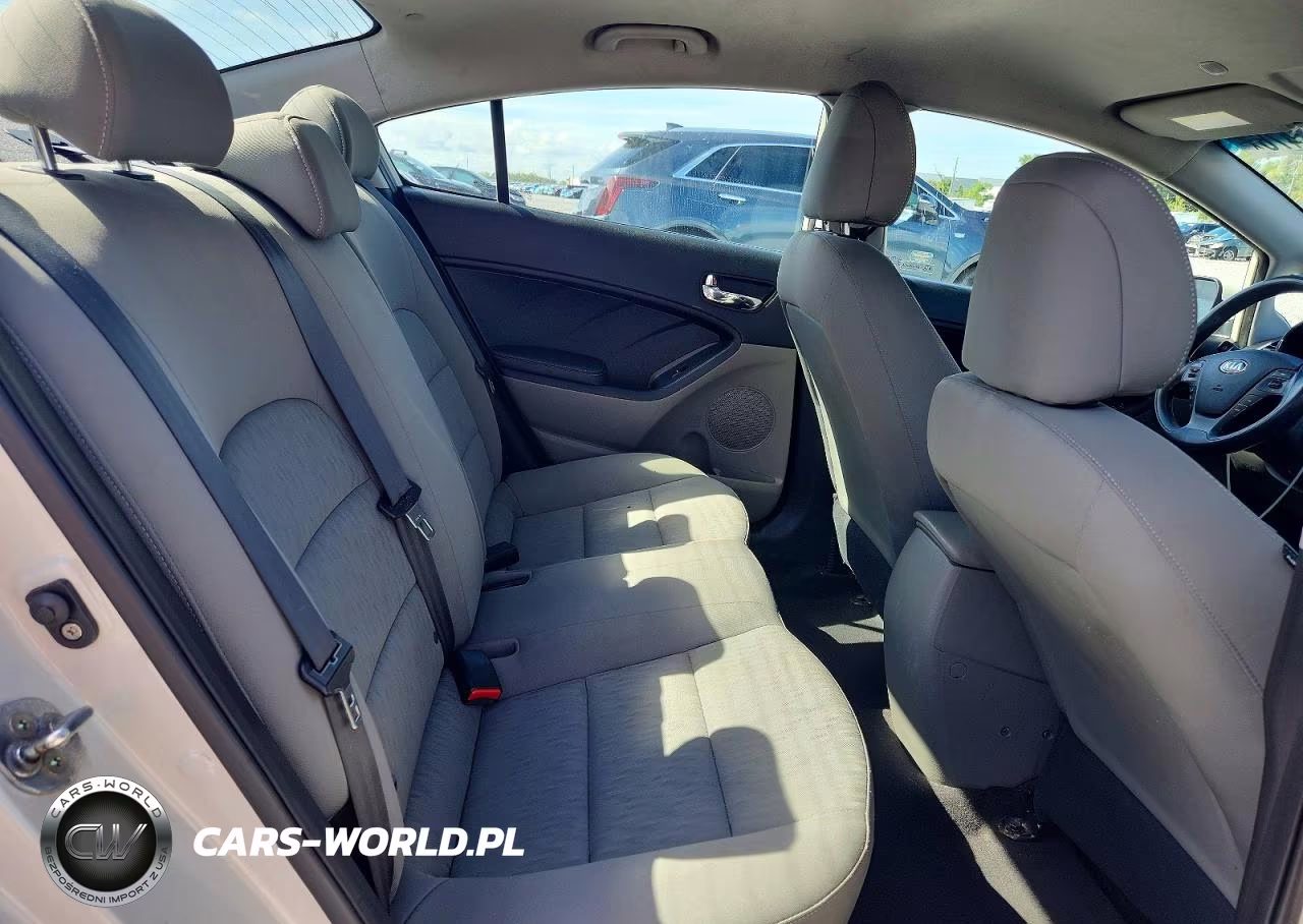 2015 Kia Forte Lx VIN:KNAFK4A62F5324347 - 10