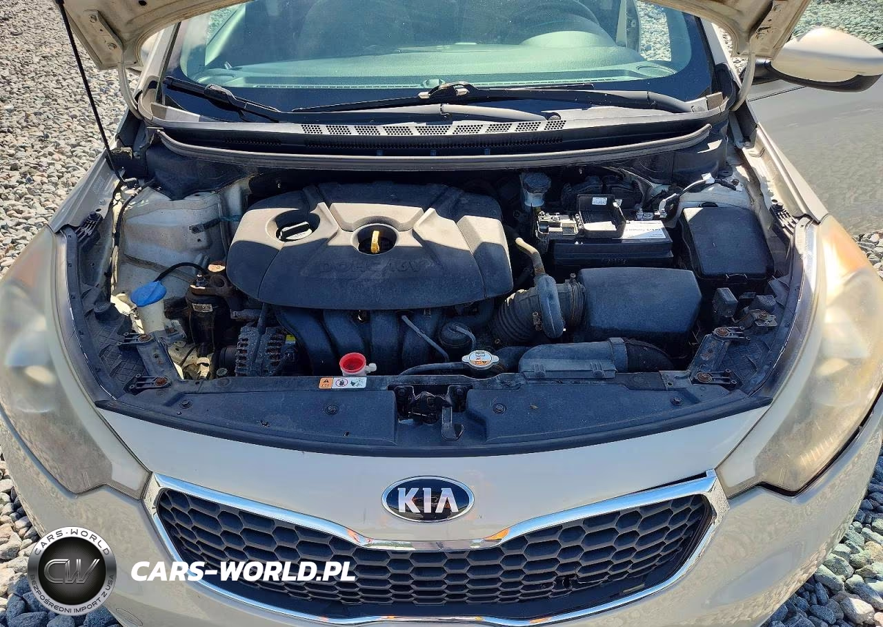 2015 Kia Forte Lx VIN:KNAFK4A62F5324347 - 11
