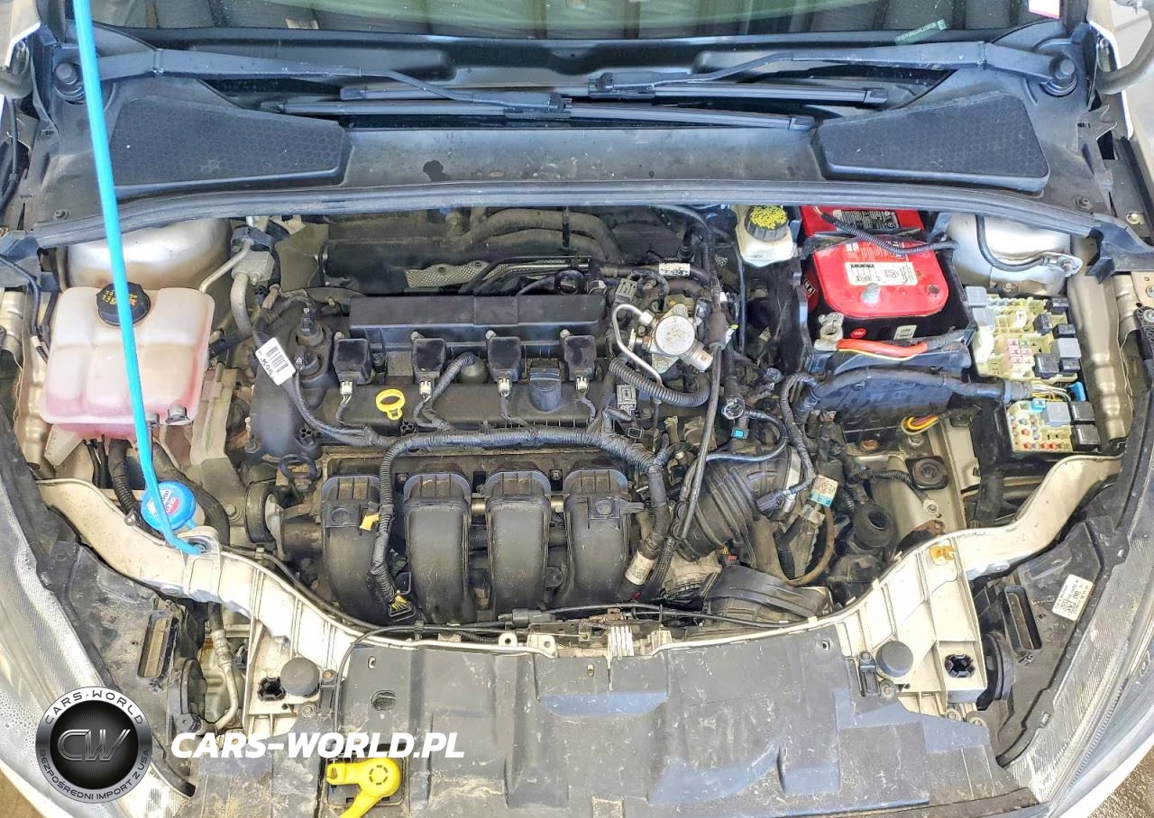 2017 Ford Focus Sel VIN:1FADP3M23HL228729 - 11