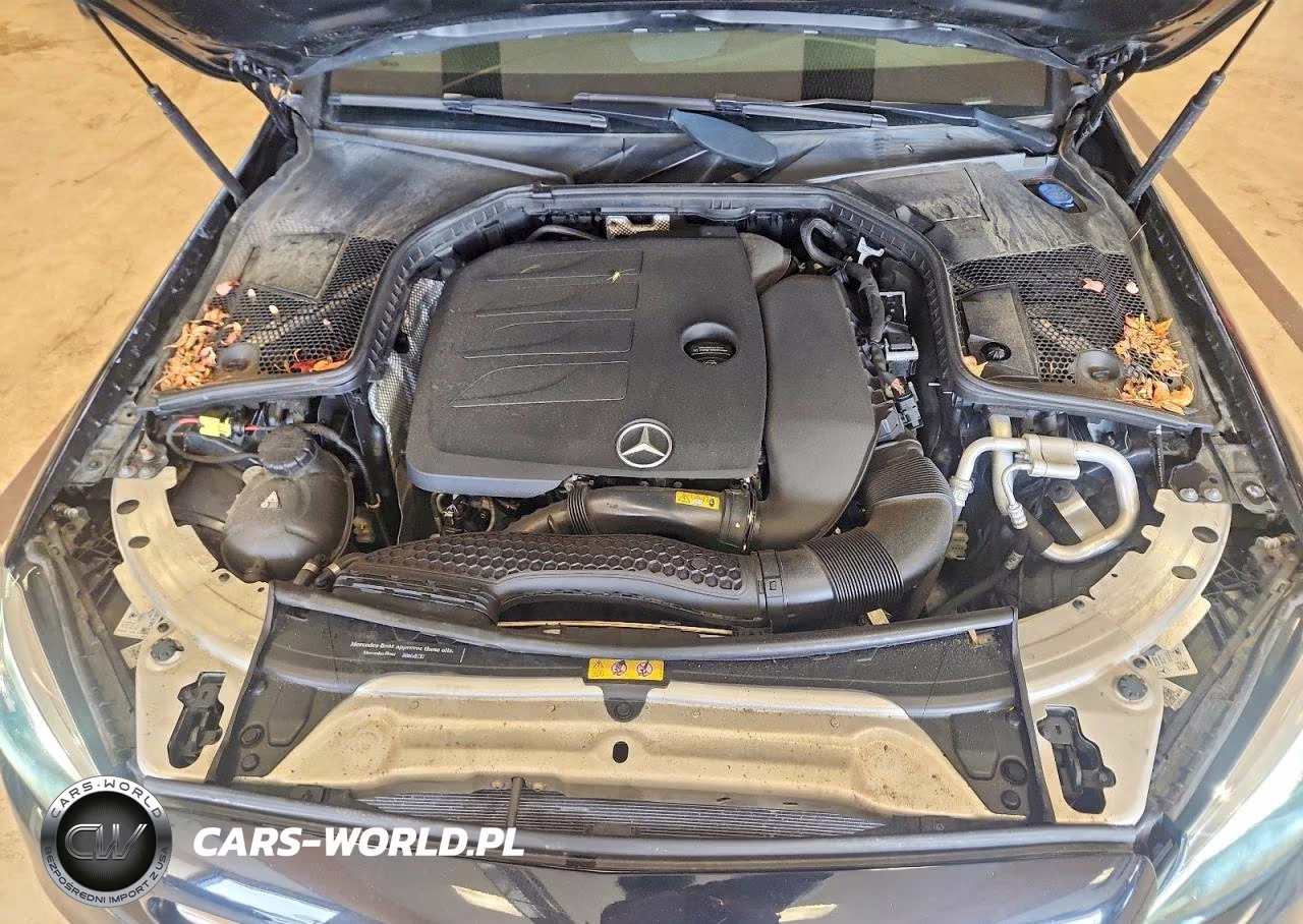 2019 Mercedes-Benz C 300 4Matic VIN:55SWF8EB6KU308374 - 11