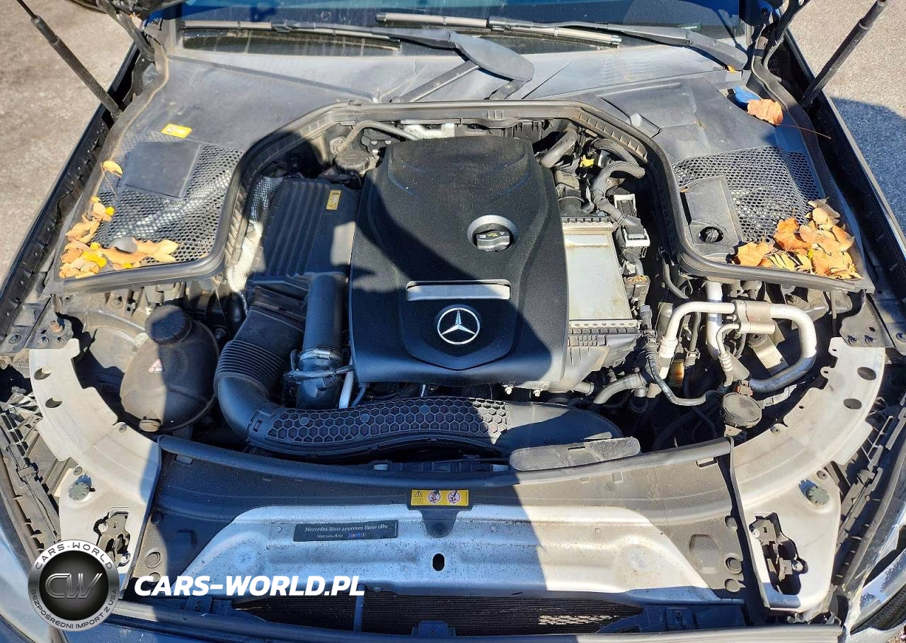 2016 Mercedes-Benz C 300 VIN:55SWF4JB5GU098565 - 11