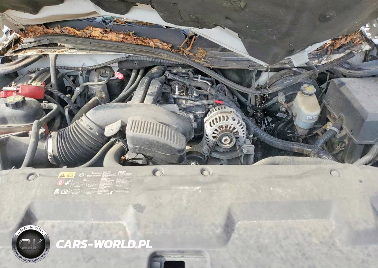 2013 Chevrolet Silverado C1500 VIN:1GCNCPEA0DZ318841 - 11