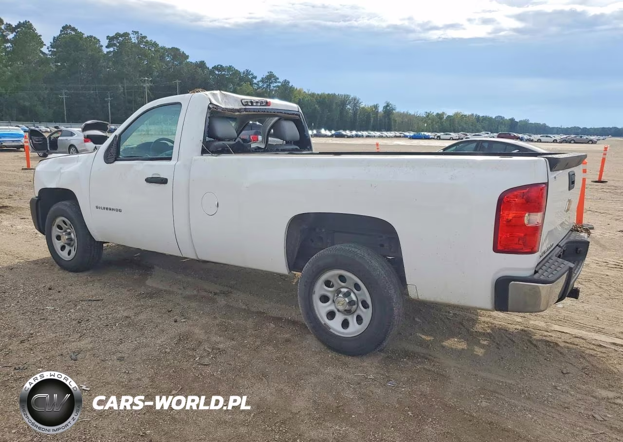 2013 Chevrolet Silverado C1500 VIN:1GCNCPEA0DZ318841 - 2