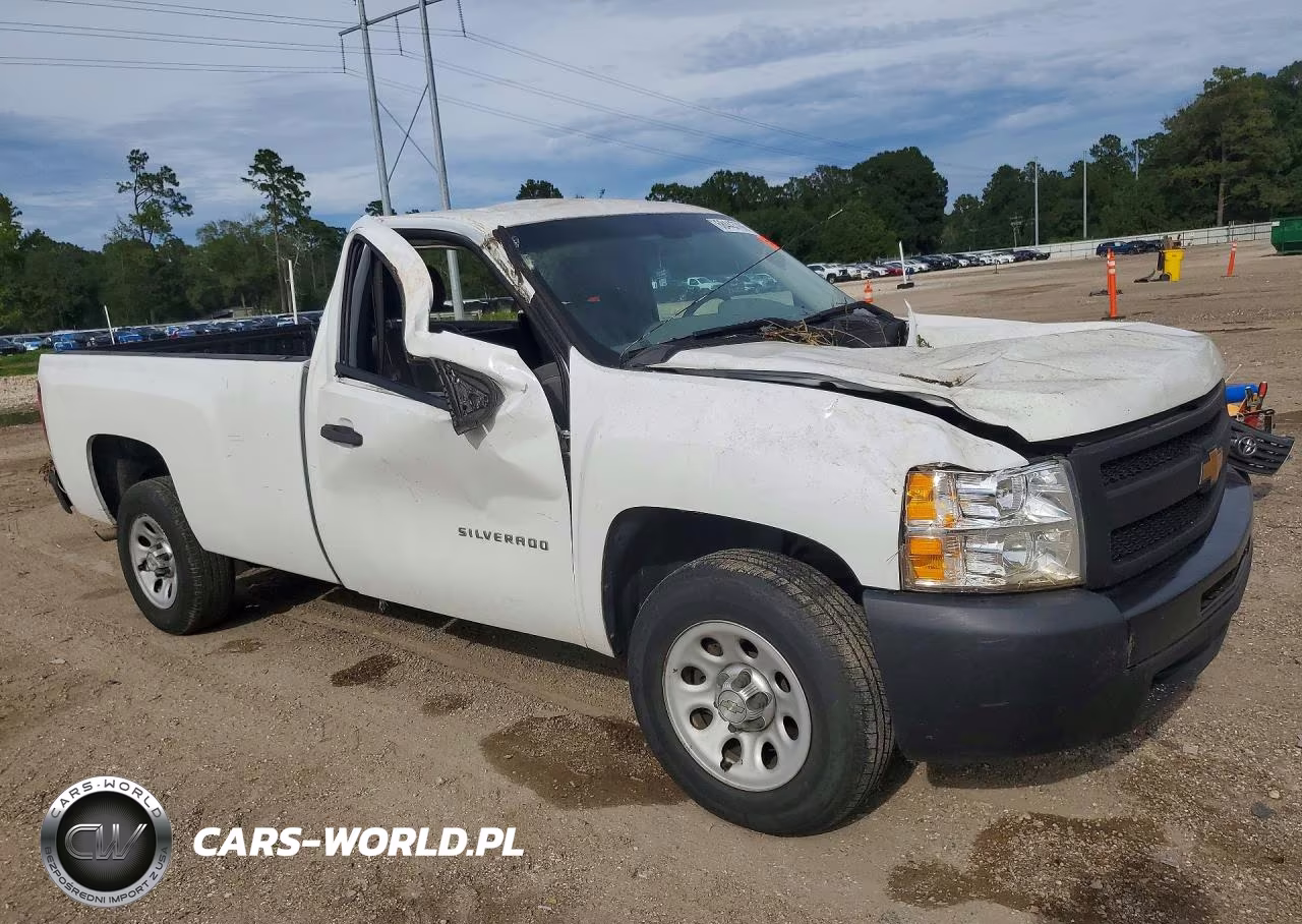 2013 Chevrolet Silverado C1500 VIN:1GCNCPEA0DZ318841 - 4
