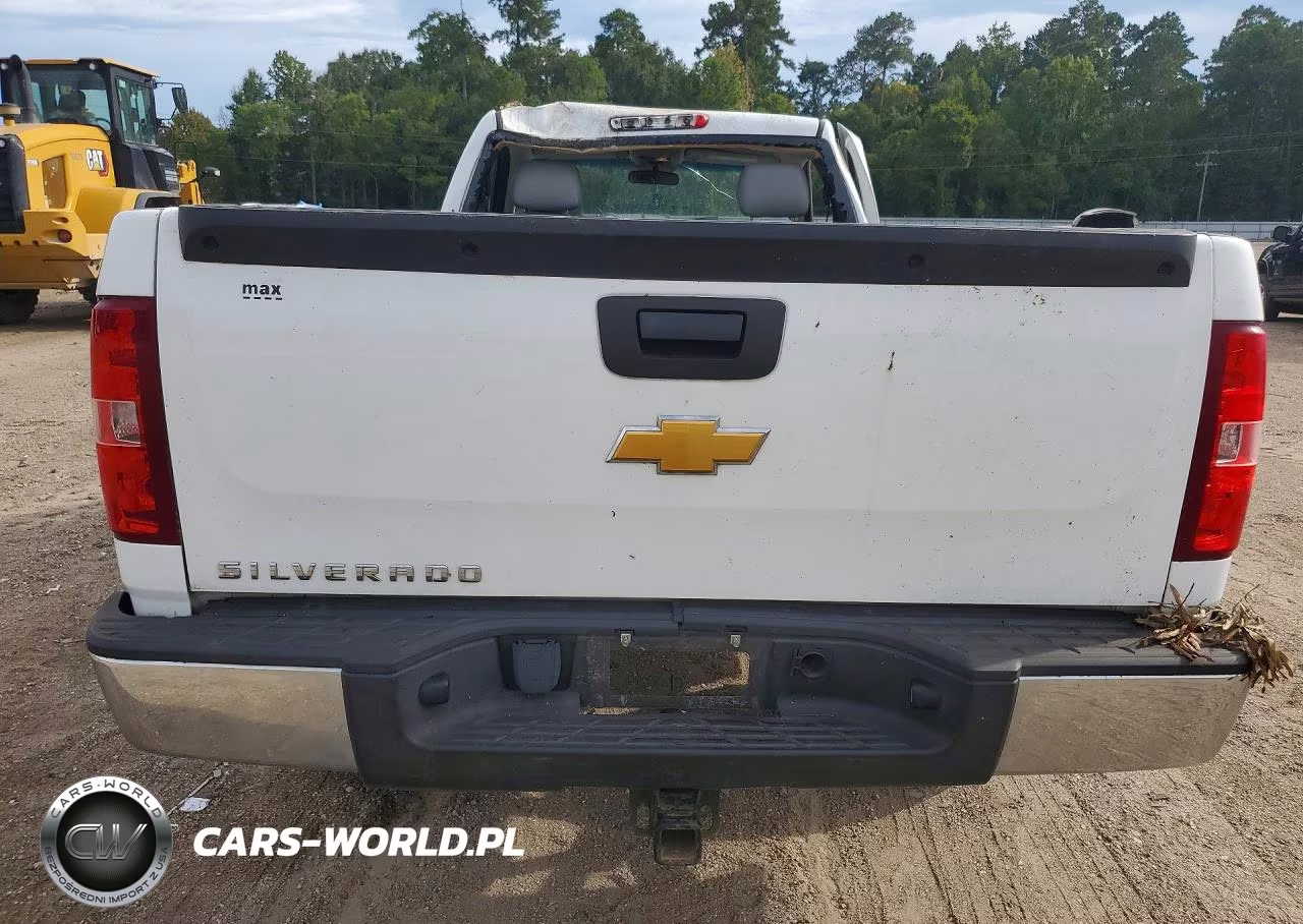 2013 Chevrolet Silverado C1500 VIN:1GCNCPEA0DZ318841 - 6