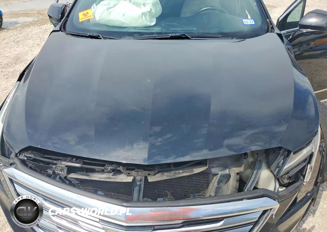 2019 Cadillac Xt5 Luxury VIN:1GYKNCRS0KZ258625 - 12