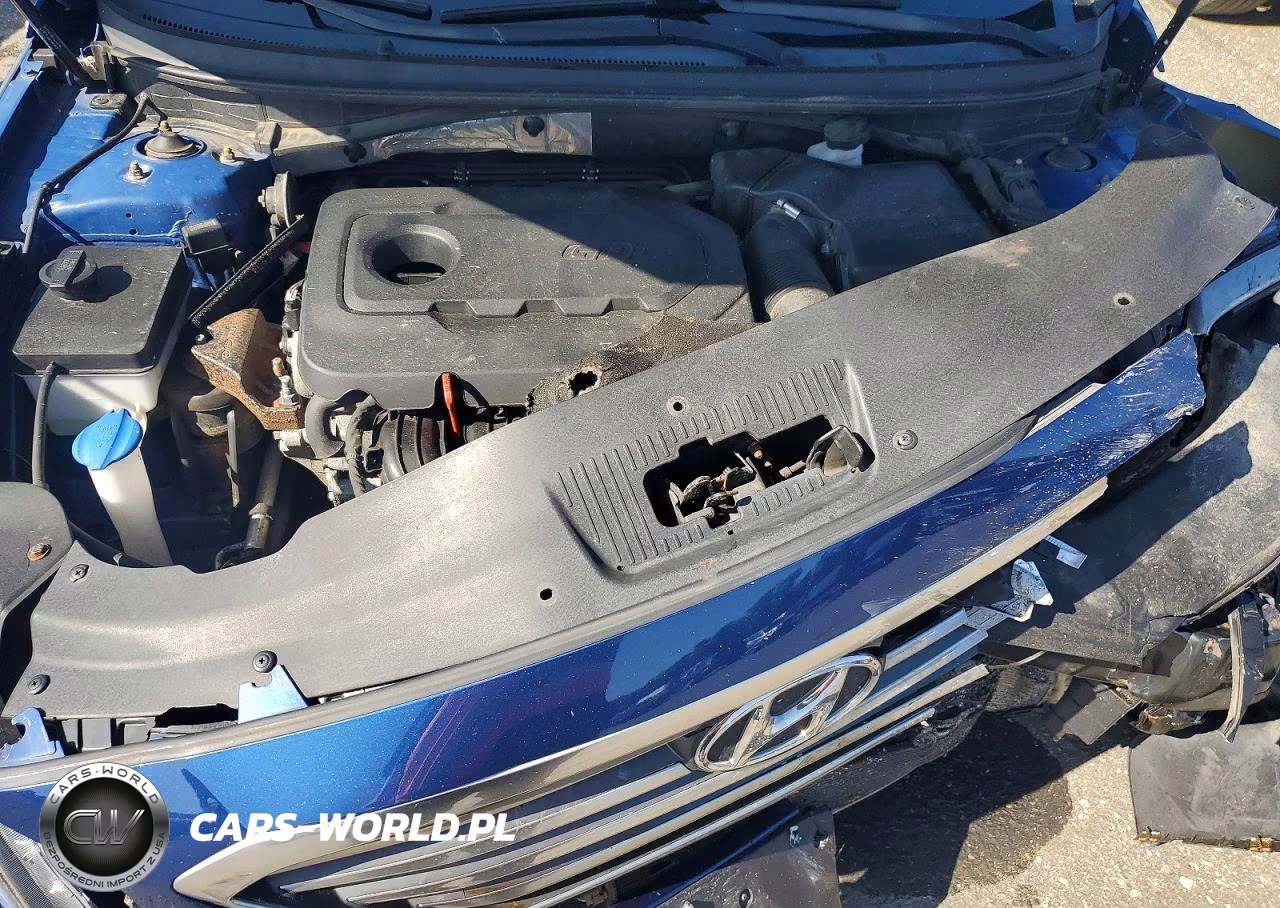 2015 Hyundai Sonata Se VIN:5NPE24AF7FH216806 - 11