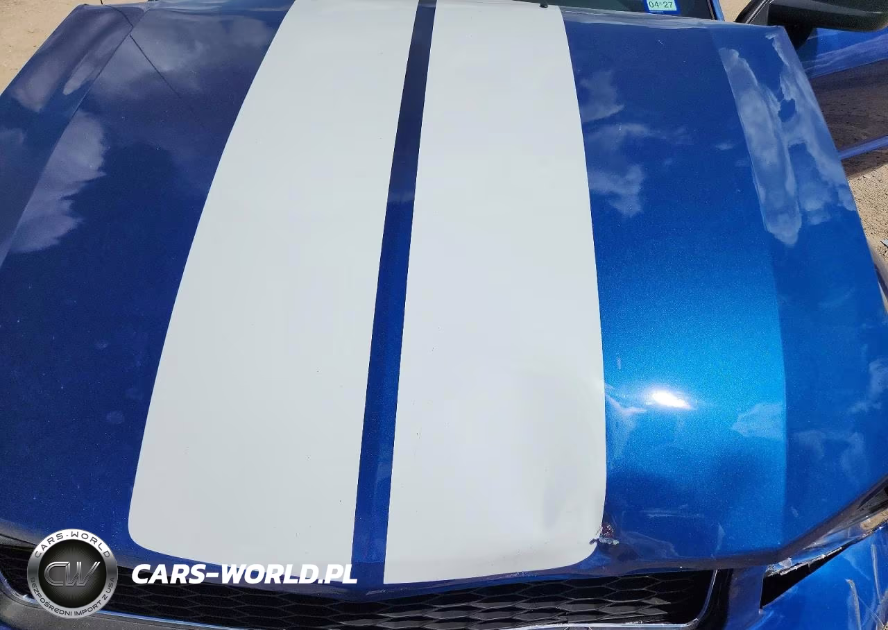 2007 Ford Mustang Gt VIN:1ZVFT82H875216448 - 11
