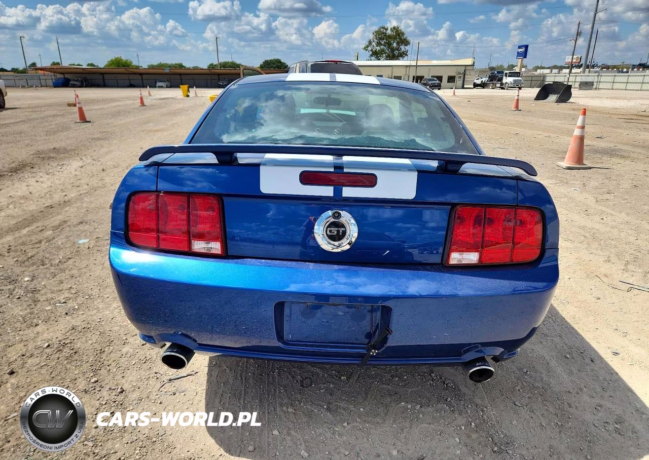 2007 Ford Mustang Gt VIN:1ZVFT82H875216448 - 6