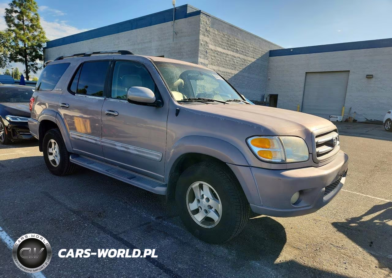 2002 Toyota Sequoia Limited VIN:5TDZT38A22S061265 - 4