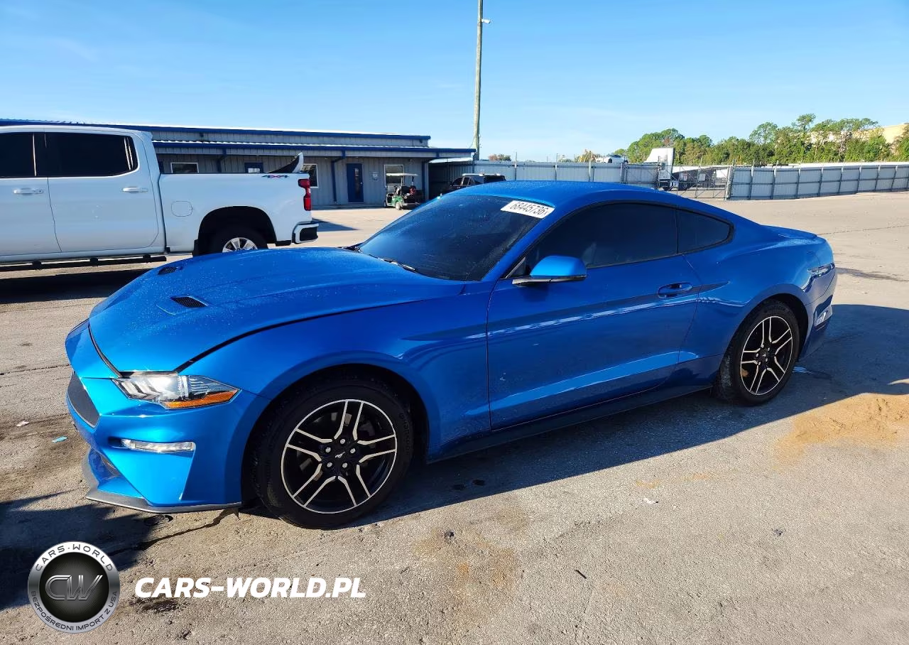 2019 Ford Mustang VIN:1FA6P8TH2K5133022 - 1