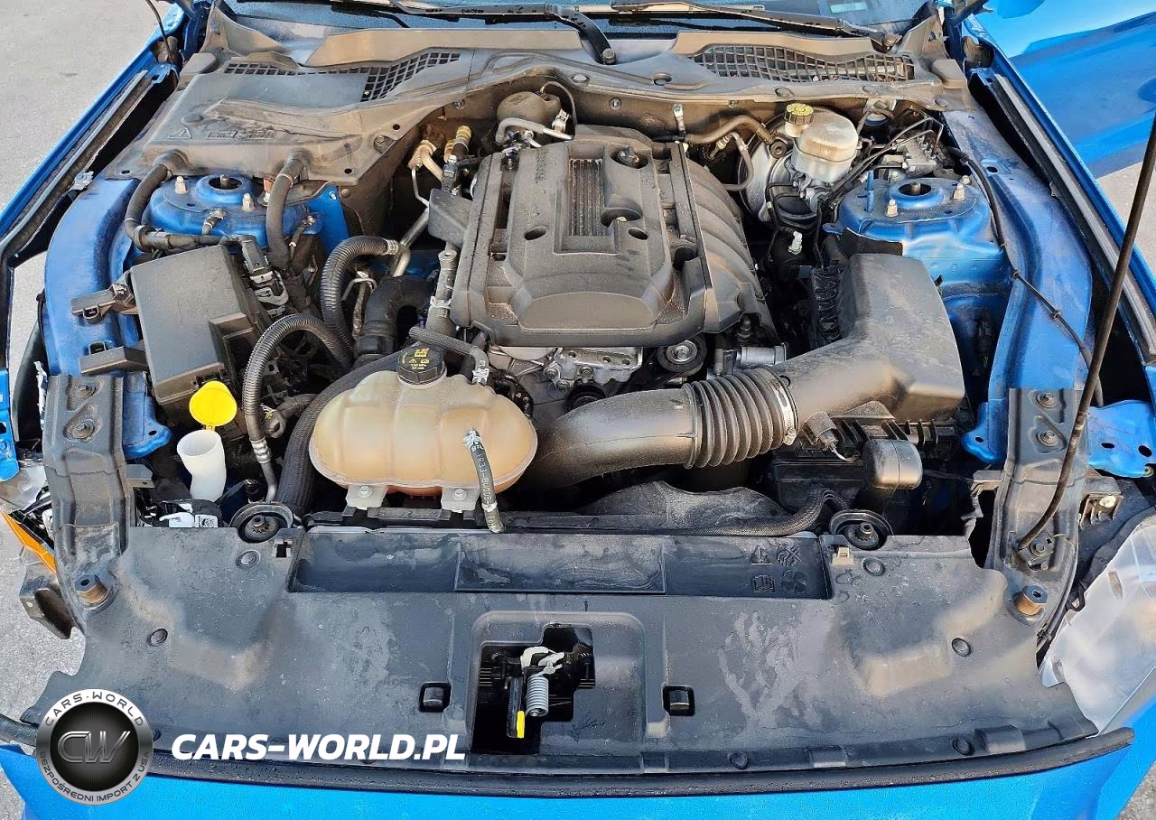 2019 Ford Mustang VIN:1FA6P8TH2K5133022 - 11