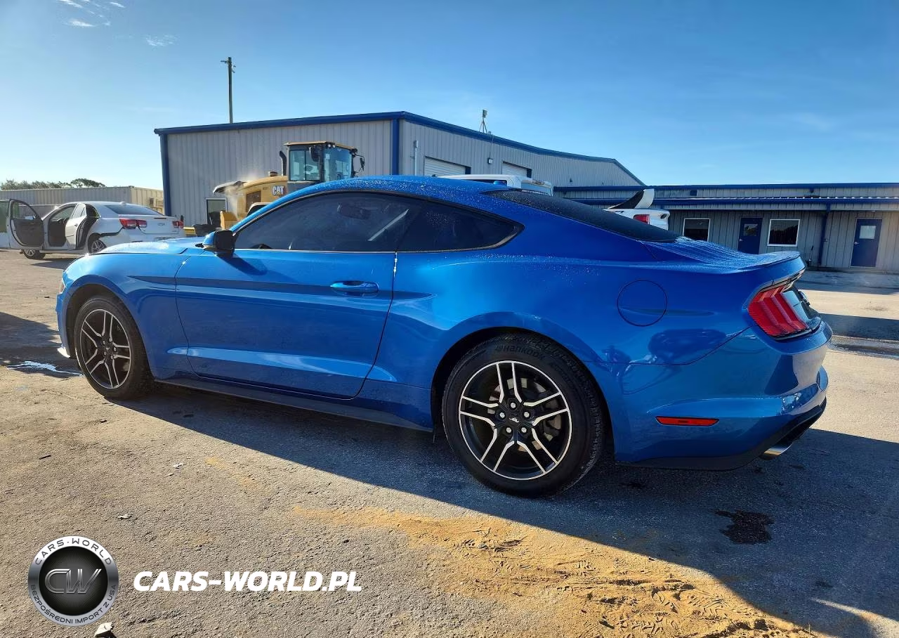 2019 Ford Mustang VIN:1FA6P8TH2K5133022 - 2