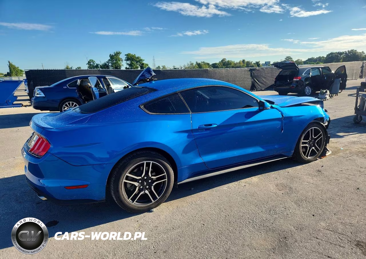 2019 Ford Mustang VIN:1FA6P8TH2K5133022 - 3