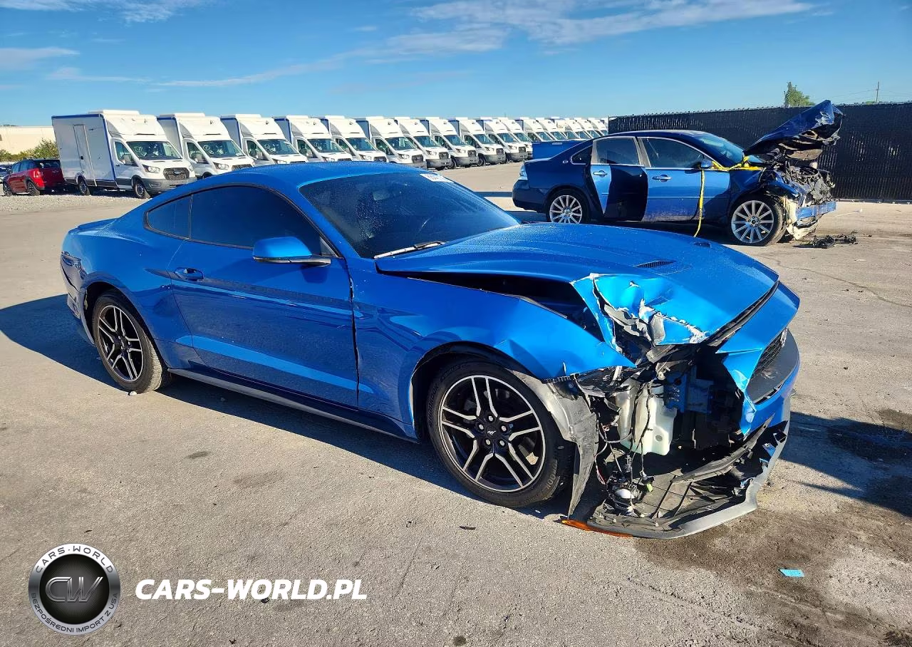 2019 Ford Mustang VIN:1FA6P8TH2K5133022 - 4