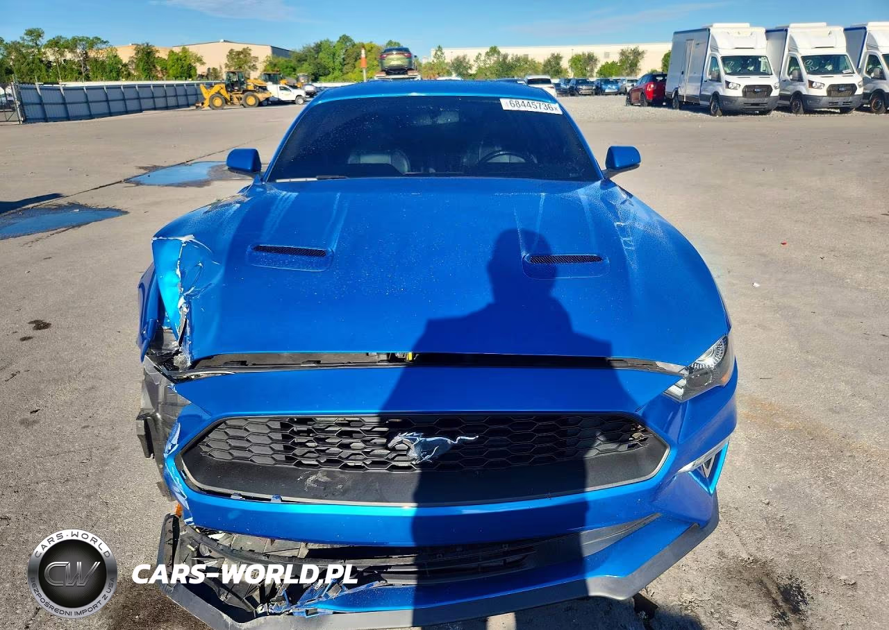 2019 Ford Mustang VIN:1FA6P8TH2K5133022 - 5