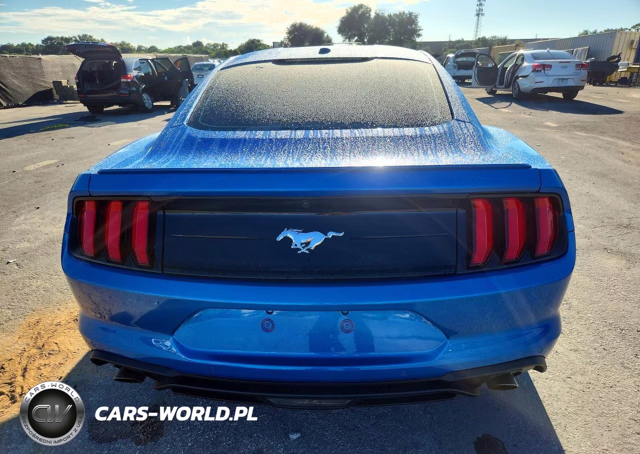2019 Ford Mustang VIN:1FA6P8TH2K5133022 - 6