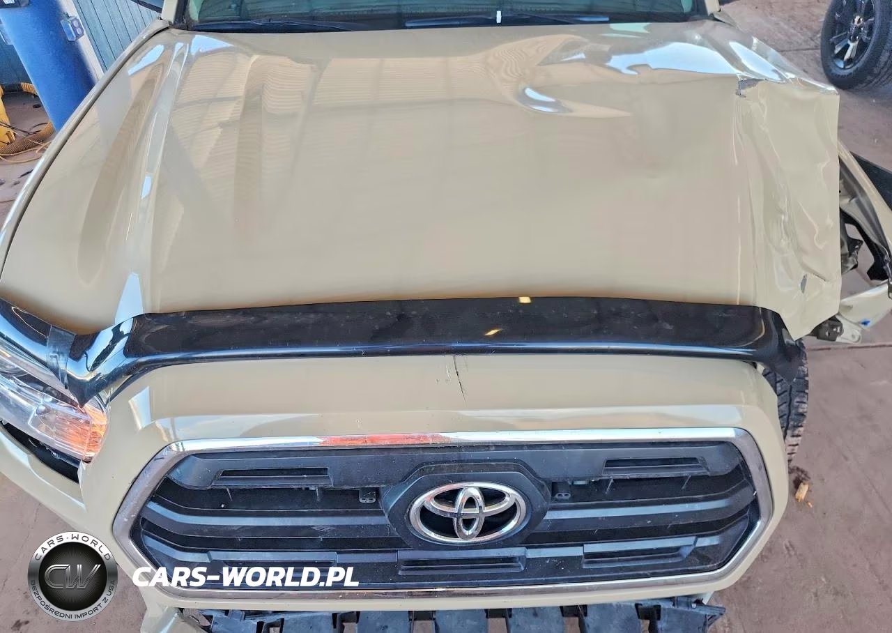 2016 Toyota Tacoma Sr5 V6 VIN:3TMDZ5BN8GM003586 - 11