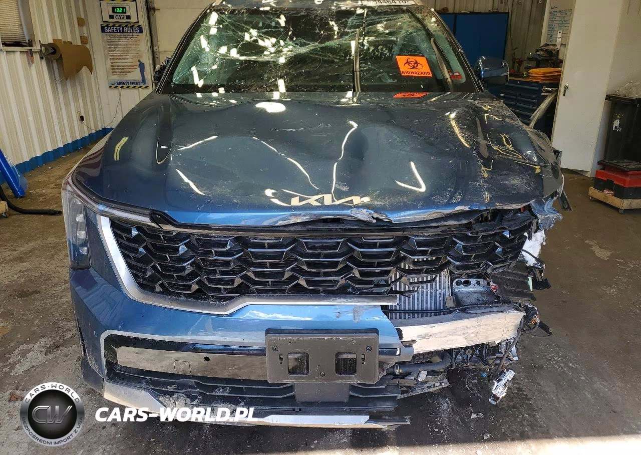 2025 Kia Sorento Ex VIN:KNDRJDJH0S5320621 - 12