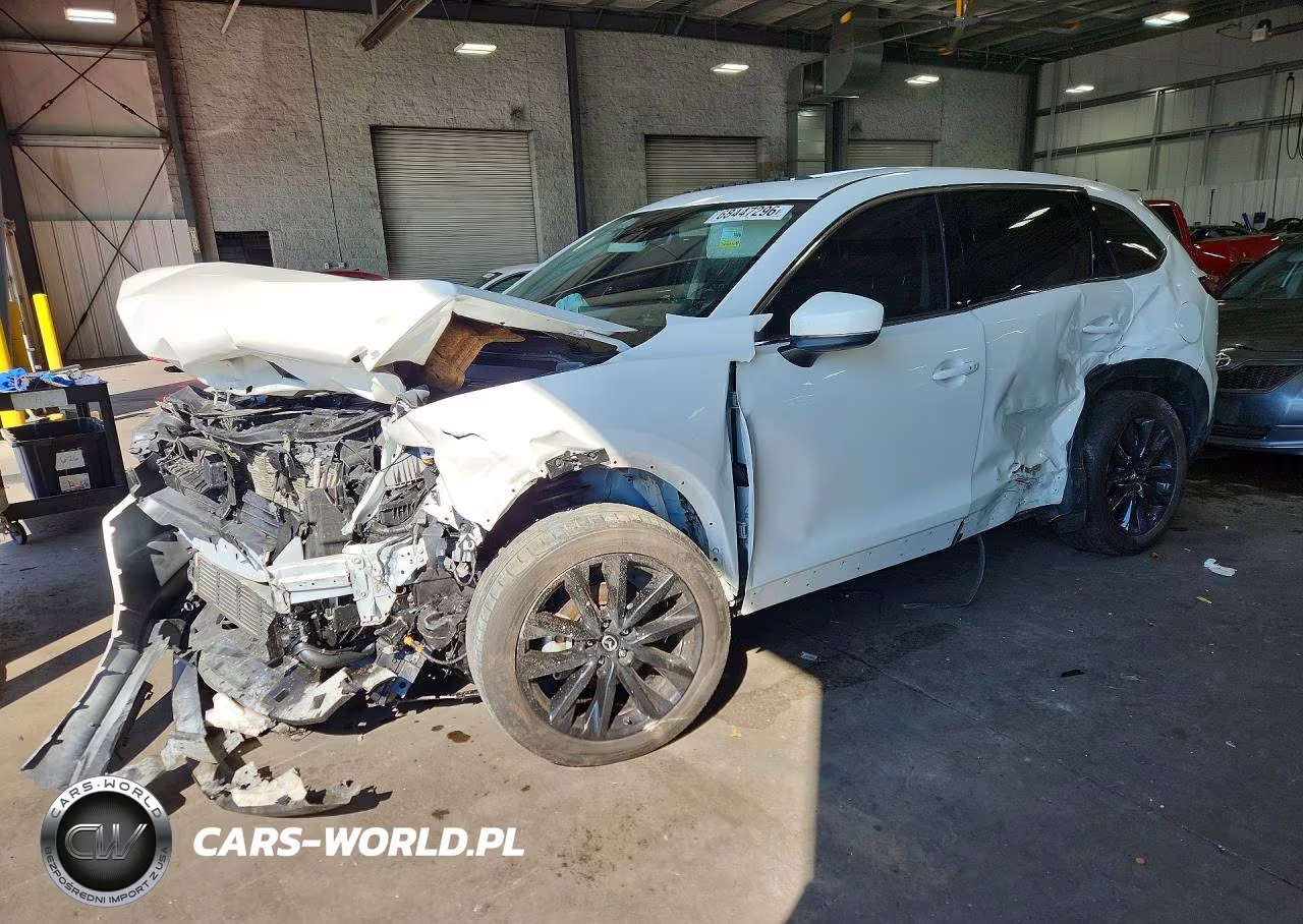 2023 Mazda Cx-9 Touring Plus VIN:JM3TCBAY3P0643335 - 1