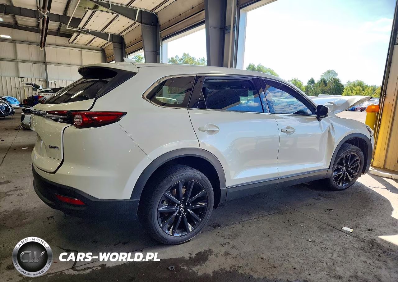 2023 Mazda Cx-9 Touring Plus VIN:JM3TCBAY3P0643335 - 3